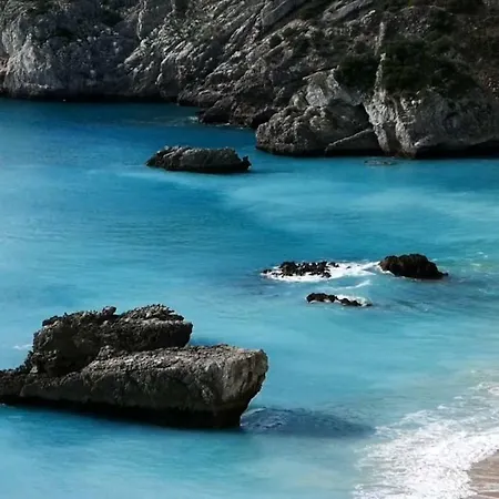 Paradise * 세심브라